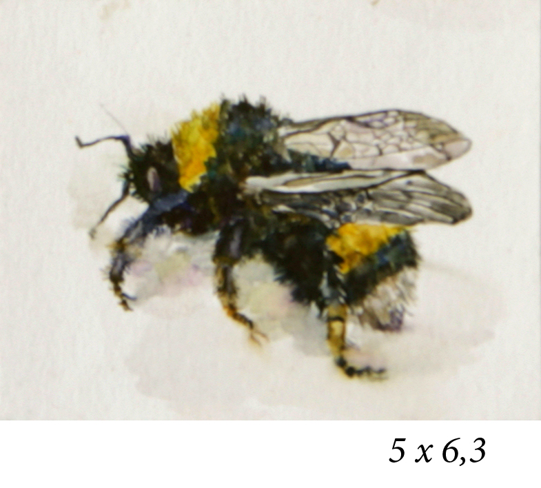 ZJ5P7801_________2.jpg