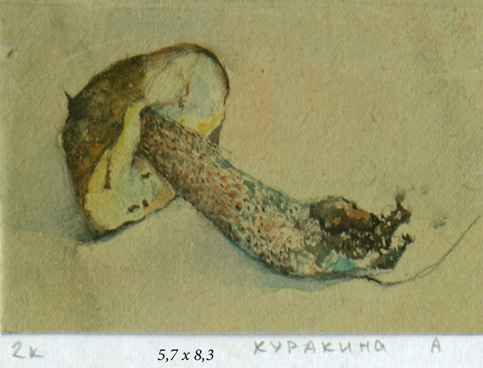 ZJ5P7825_________2.jpg