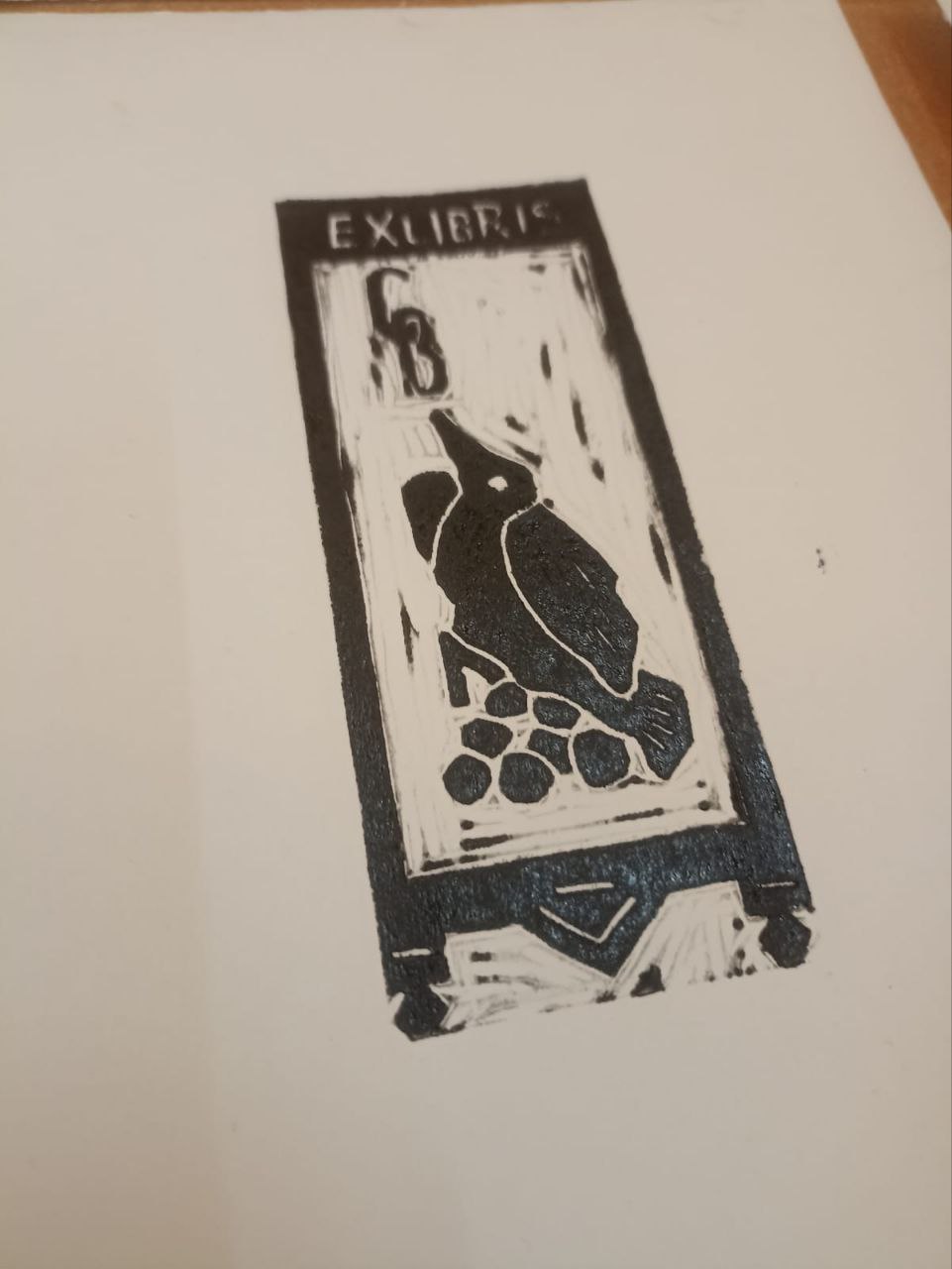 5404631810308175228.jpg