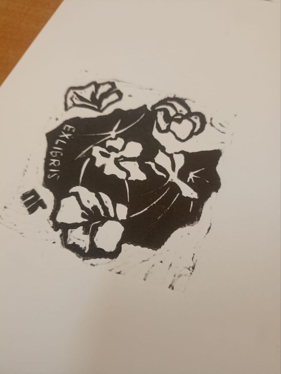 5404631810308175230.jpg